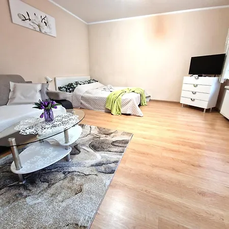 Aparthouse Centrum Free Parking