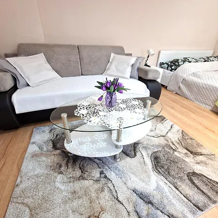 Aparthouse Centrum Apartment Sosnowiec