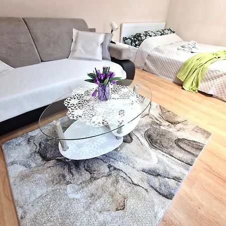 Aparthouse Centrum Free Parking * Sosnowiec