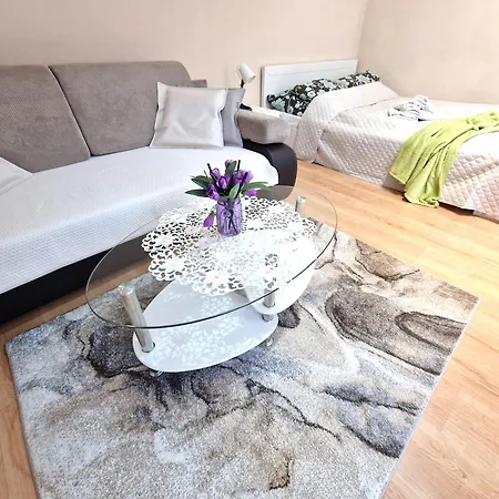 Aparthouse Centrum Free Parking Sosnowiec