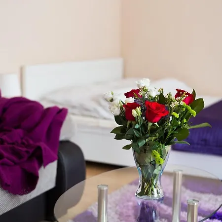 Apartment Aparthouse Centrum Sosnowiec