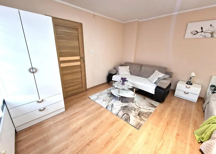 Aparthouse Centrum Free Parking * Sosnowiec