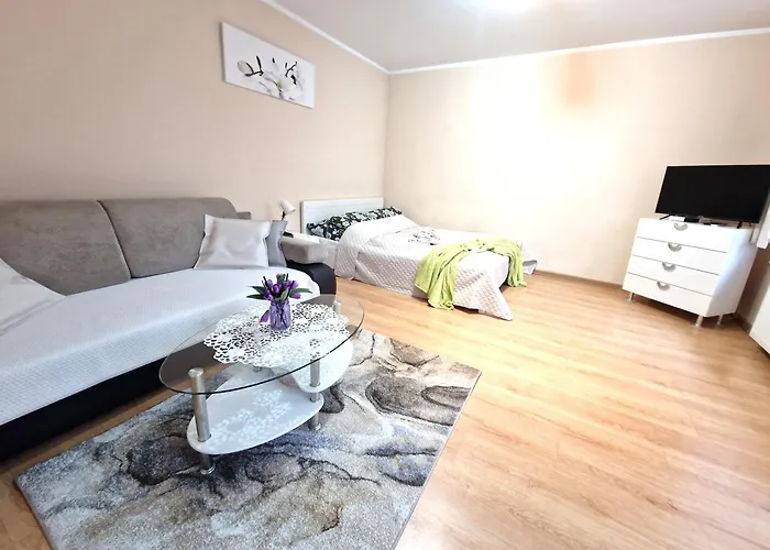 Aparthouse Centrum Free Parking דירה