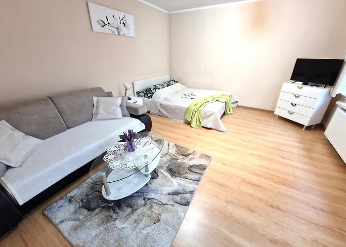 Aparthouse Centrum Free Parking