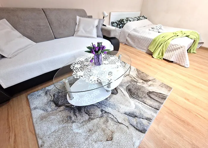 Aparthouse Centrum Free Parking * Sosnowiec