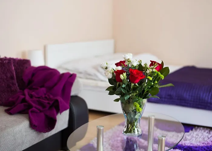 Lejlighed Aparthouse Centrum Free Parking Sosnowiec