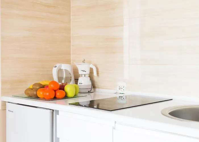 Aparthouse Centrum Free Parking סוסנוביץ'